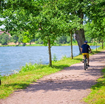 Les berges de l'étang  - SAINT-LAURENT-D'ANDENAY