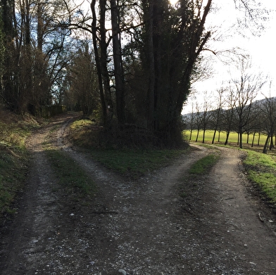 Parcours VTT 3 bleu - Bognens - Les Baraques - Espace FFC Ain Forestière