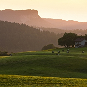 Tour des Cressonnières - 19R - LES ROUSSES