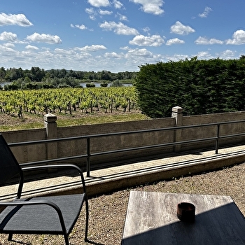 L'Espérance, vue sur la vigne et la Loire - POUILLY-SUR-LOIRE
