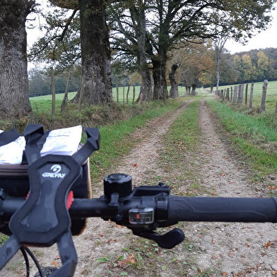 Circuit VTTAE n°6 (rouge) Chemins des bois de Bresse