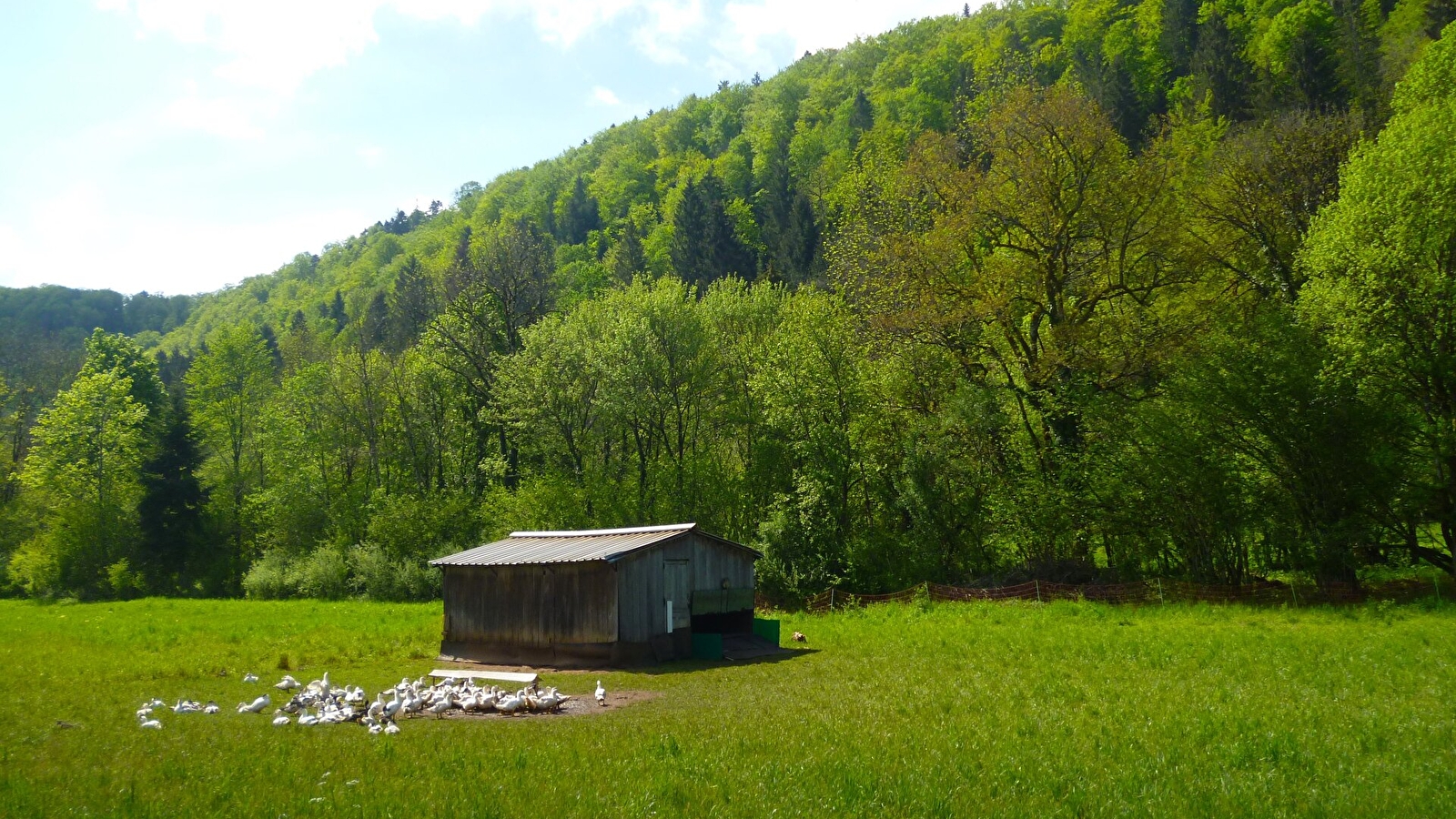 La Ferme de la Maison du Bois