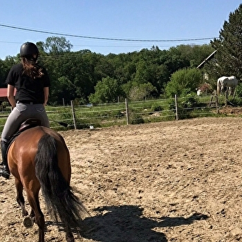 Écurie des Terres Rouges - ADAM-LES-PASSAVANT