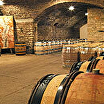 Domaine Henri de Villamont - Dégustation Terroir - SAVIGNY-LES-BEAUNE