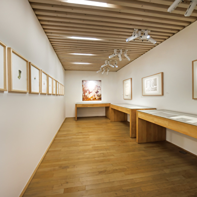 Musée de l'Abbaye - Exposition : Résonance