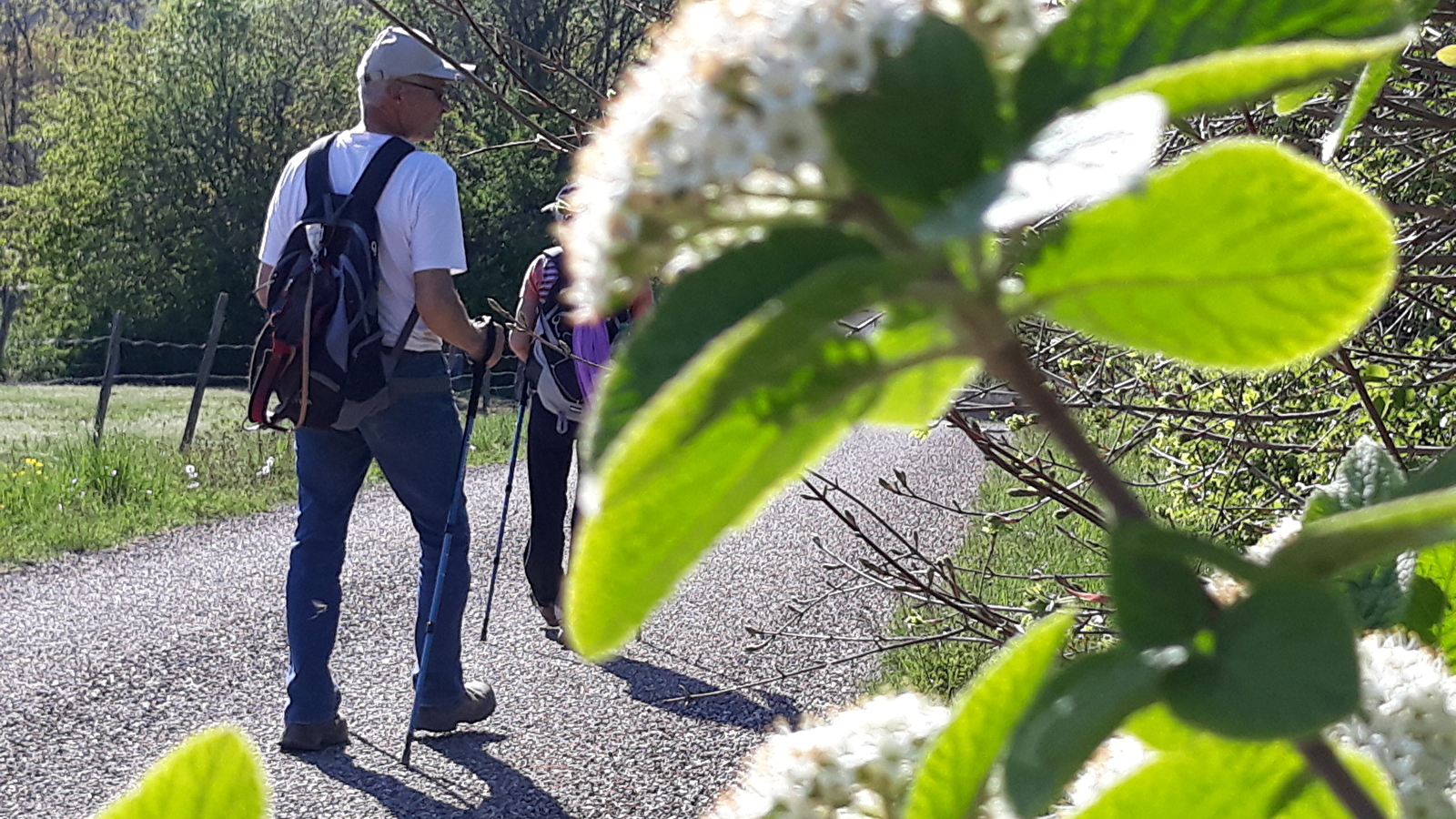 Circuit pédestre Le Chêne Béni