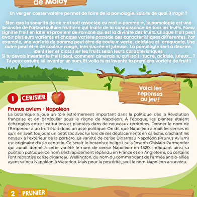 Verger conservatoire de Moloy