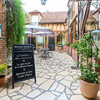 Maison Dosnon - VILLENEUVE-SUR-YONNE