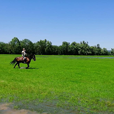 Circuit des prairies du Val de Saône