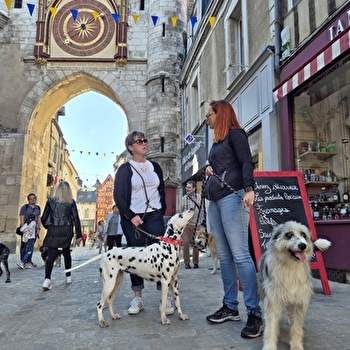 Toutou'Risme à Auxerre ! - AUXERRE