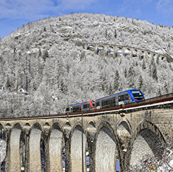 Excursion Ligne des Hirondelles - Formule À l'assaut des viaducs  !  - HAUTS DE BIENNE