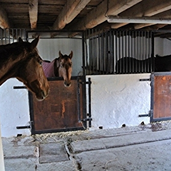 Domaine Danalou - MARMAGNE