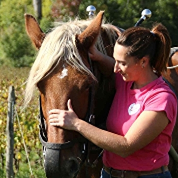 Domaine de L’Aubraine - SAINT-GENGOUX-DE-SCISSE