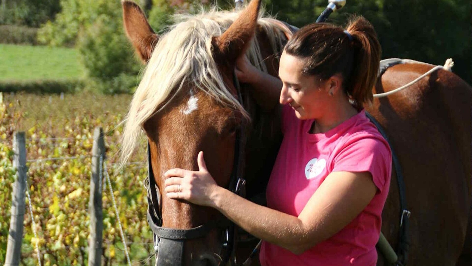 Domaine de L’Aubraine