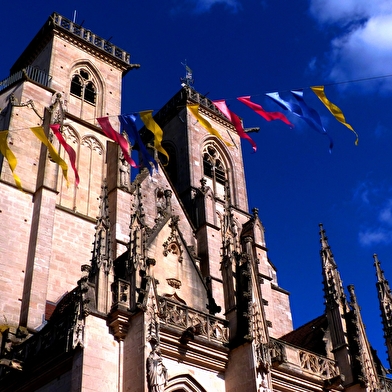Visite guidée de Semur-en-Auxois