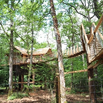 Nid Douillet et Nid D'amour - BALOT