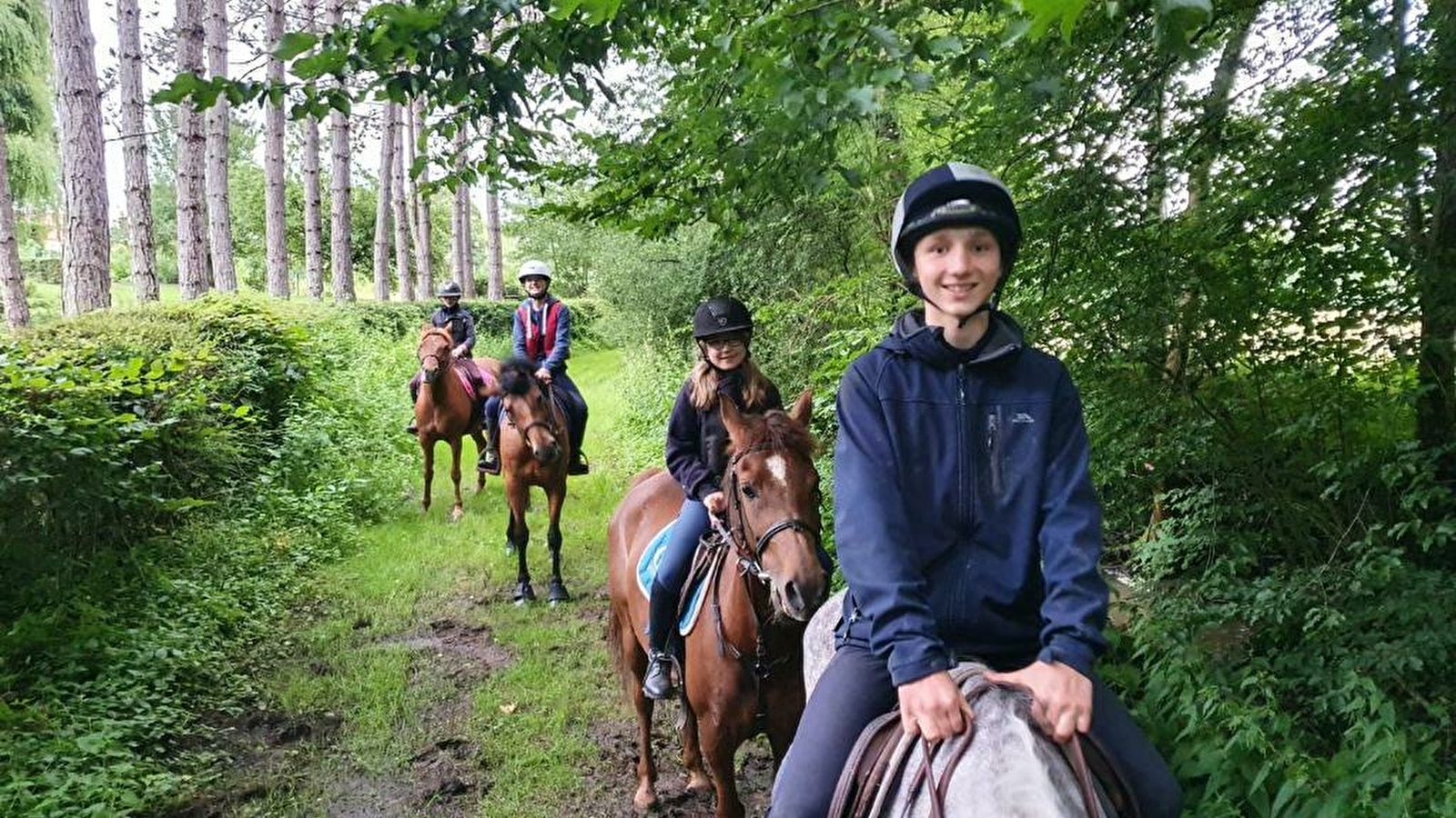 Ferme Equestre Gateau Stables : séjour linguistique-équitation et balades et leçons à poney et cheval