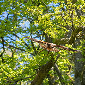 Week-end 'détente et reconnexion avec la nature' -