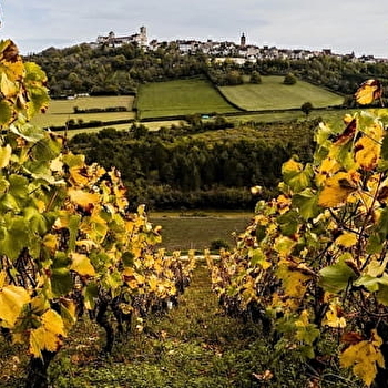 Vézelay l'incontournable - VEZELAY