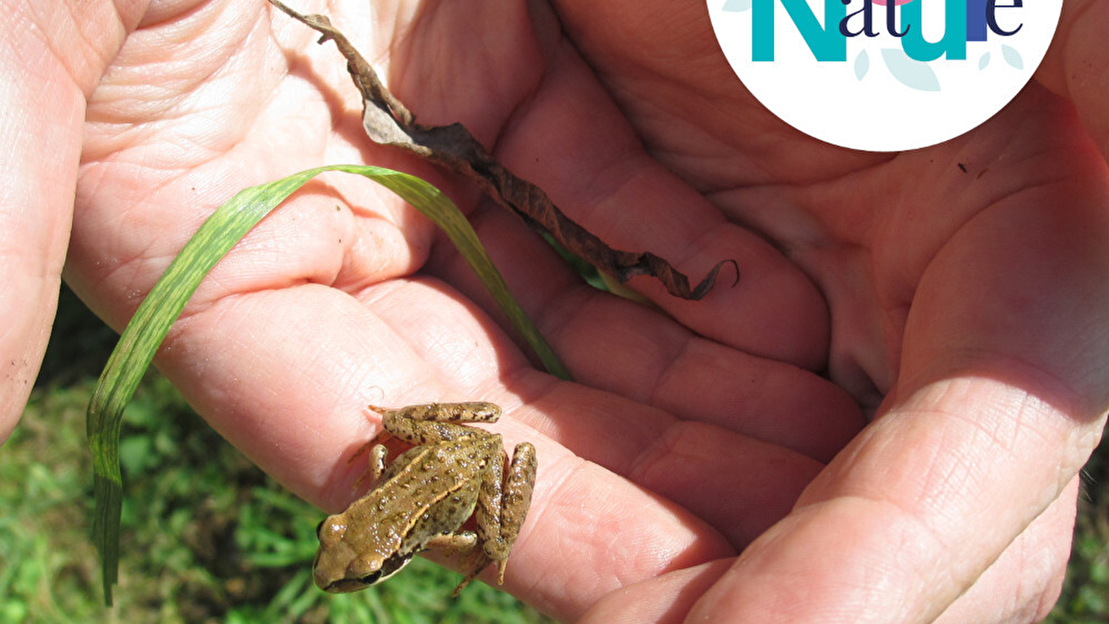 Sortie 123Nature : Les petites bêtes de l'eau