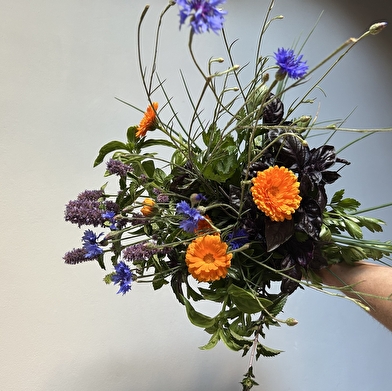 La Demoiselle des Champs