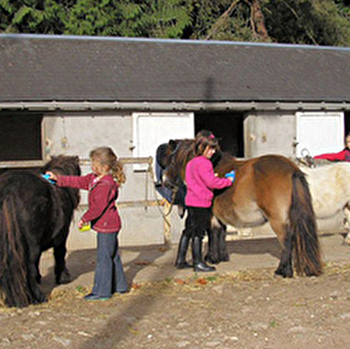 Poney Club et Centre Equestre de Prunevaux - NOLAY