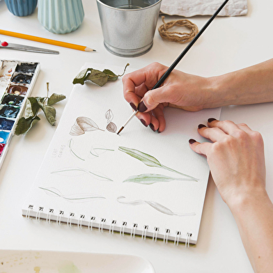 Aquarelle et botanique