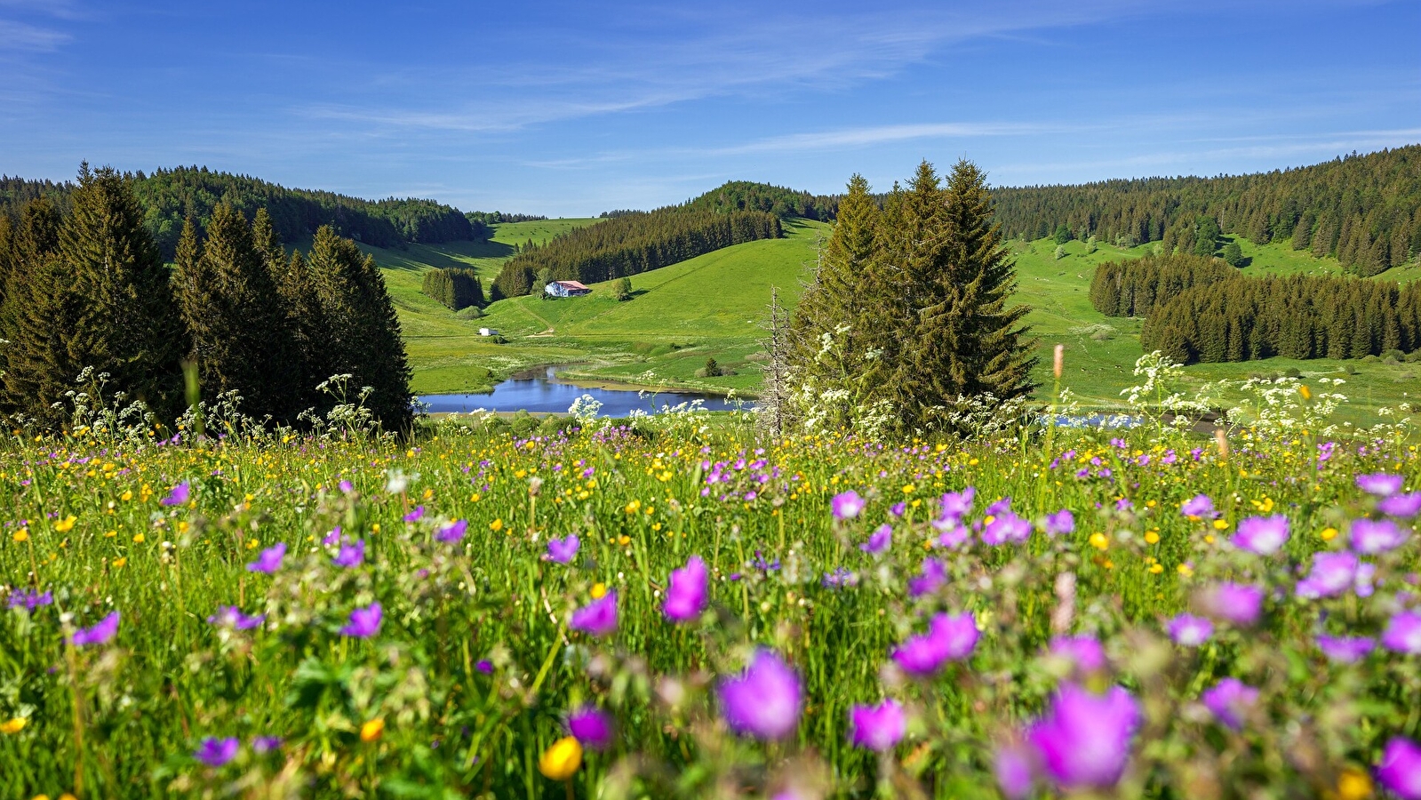 Tour des Closettes - 42R