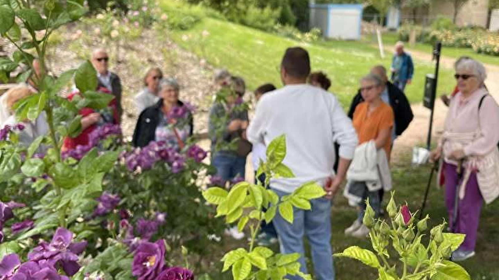 Visite du Jardin Saint Hugues