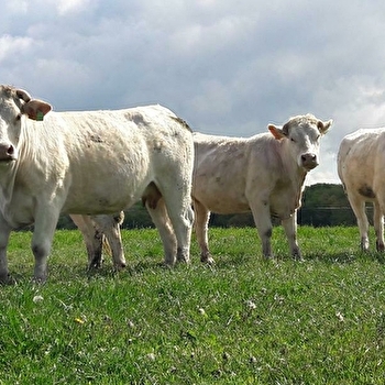 GAEC LAFFAYE - LANTY