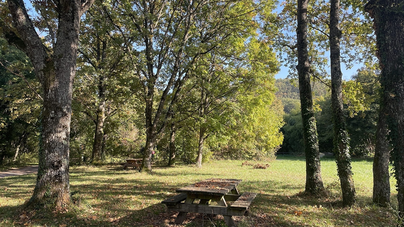 Aire de pique-nique de l'aire de loisirs