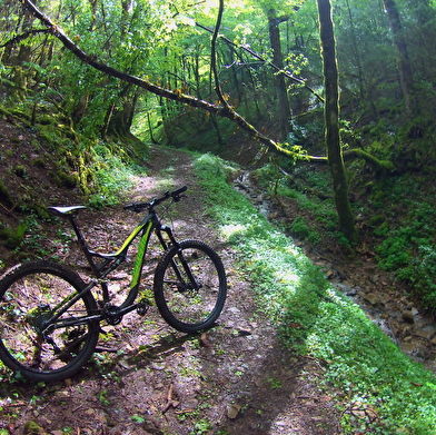 Circuit VTT n°1 (noir) - Chapelle de Montfort - Refuge du Mont-Myon