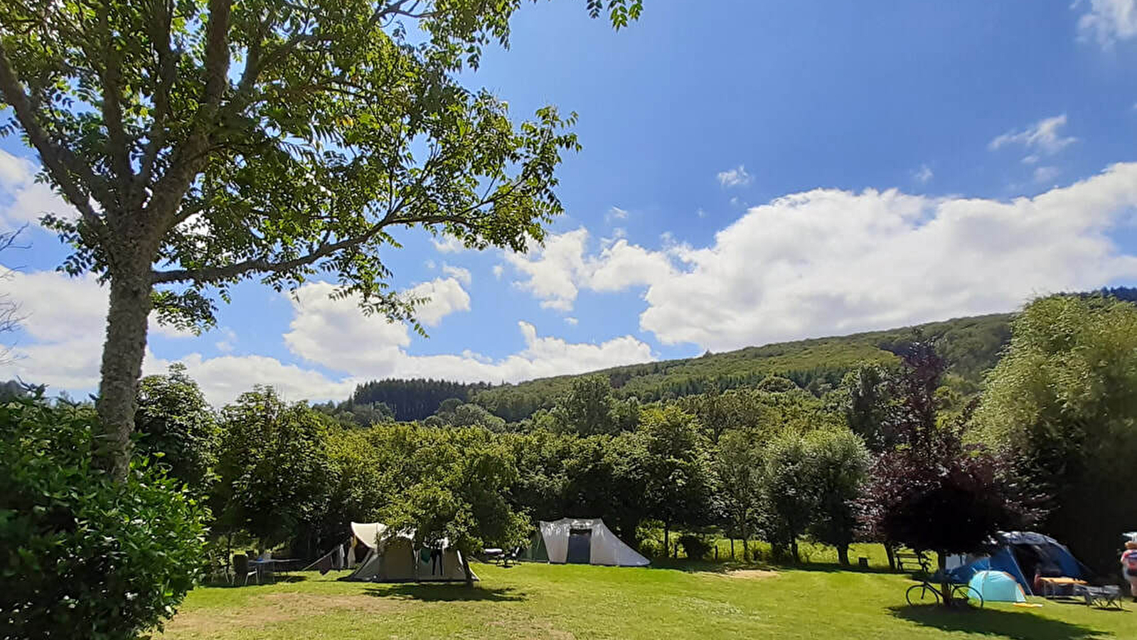 Le Petit Papillon, mini-camping & chambres d'hôtes