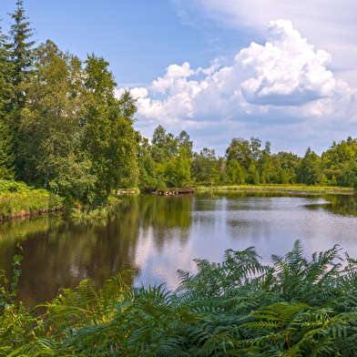 VTT n°3 - Les Grilloux
