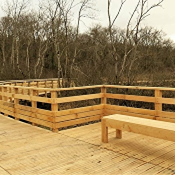 Le Printemps des ENS 71 : Le marais de Massilly - MASSILLY