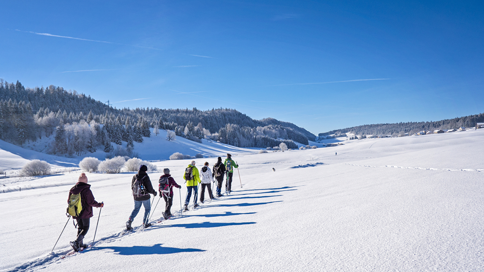 Circuits raquettes à Nanchez