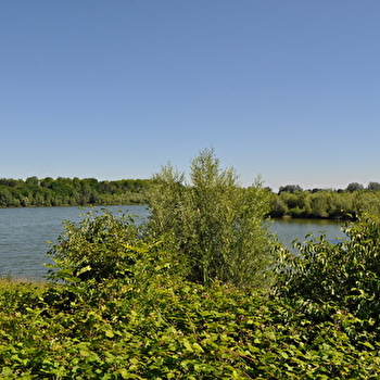 Micro aventure Lône du Val de Saône - BELLEVILLE-EN-BEAUJOLAIS