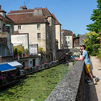 Circuit du Chat Perché - DOLE