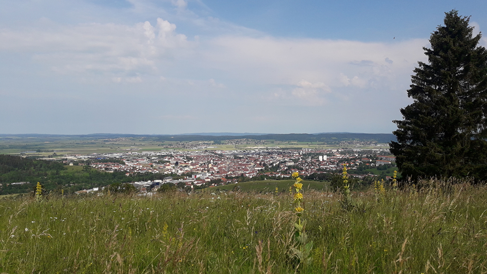 Le Fer à Cheval (Variante)