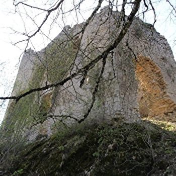 Les Châteaux de l'Heute - 16R - VERGES