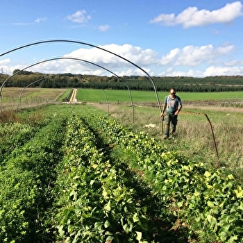 Les Serres du Phénix - LA NEUVELLE-LES-SCEY