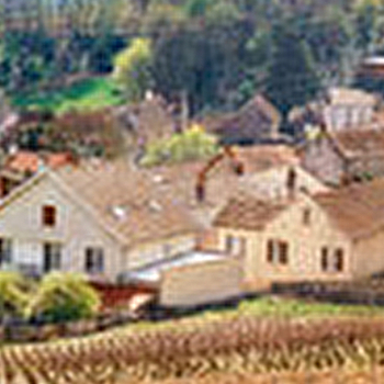 Rossignol-Cornu et Fils - VOLNAY