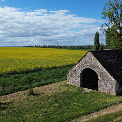 De la forêt communale à la Saône