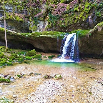 Cascade de la Vouivre - SAINT-CLAUDE