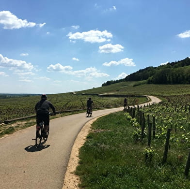 VELOVITAMINE Balade oenologique sur la Côte de Beaune Grand Cru