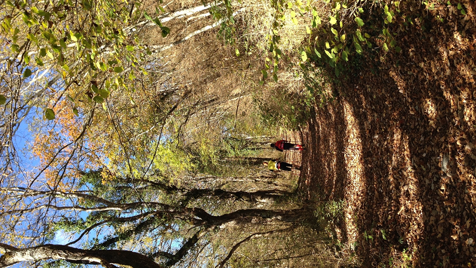 Randonnée pédestre : sentier de Parnaud