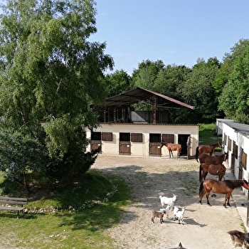 Ferme équestre l'Echappée Belle - CHAMPIGNELLES