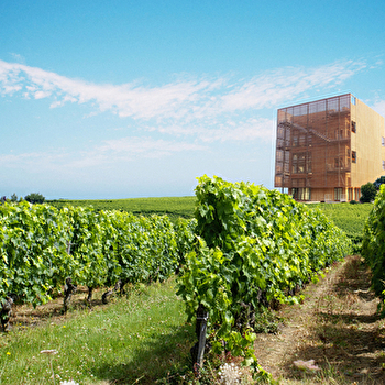 La Caborde - BEAUFORT-ORBAGNA