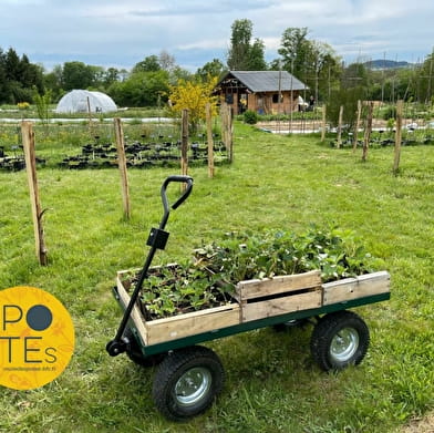 WHICH?GARDEN – le jardin bio qui nourrit la terre, le corps et l’âme !