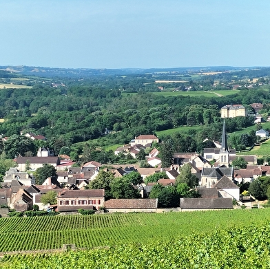 Maison vigneronne au cœur de Santenay
